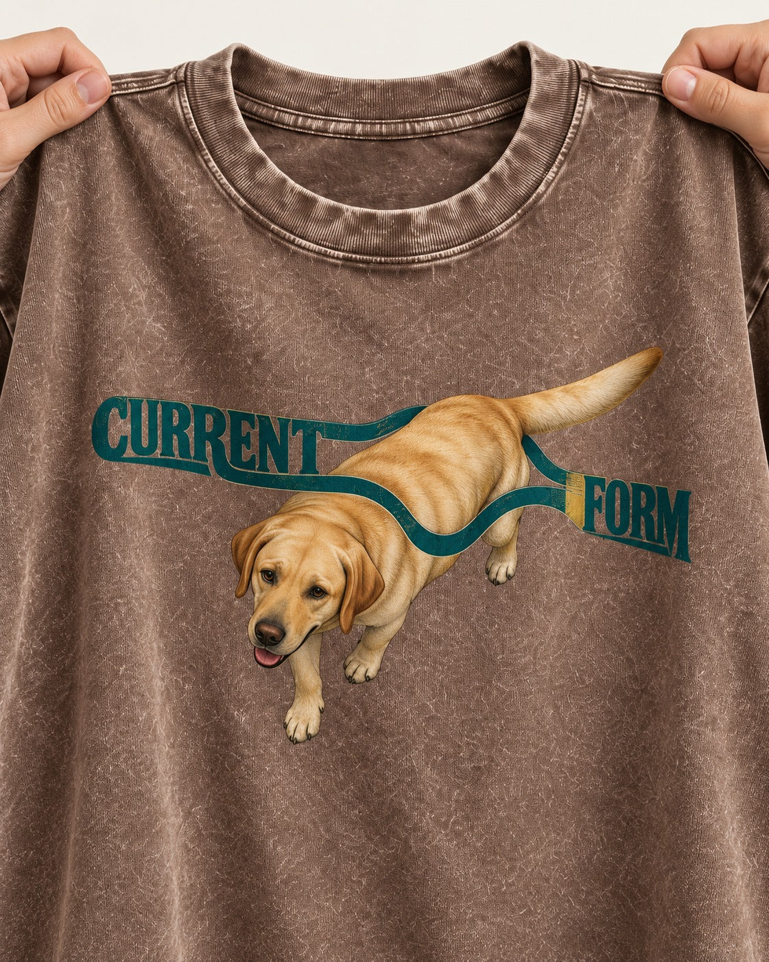Labrador Retriever Current Form Washed Tee in Coffee, close-up of the graphic