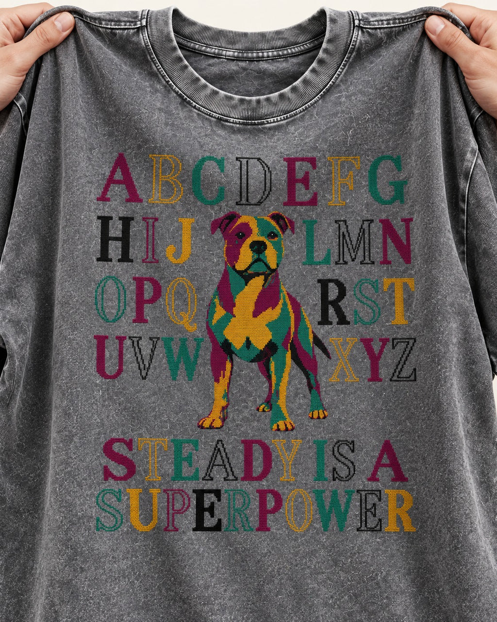 Pitbull Steady Is a Superpower Alphabet Graphic Washed Tee in Gray, close-up of the graphic