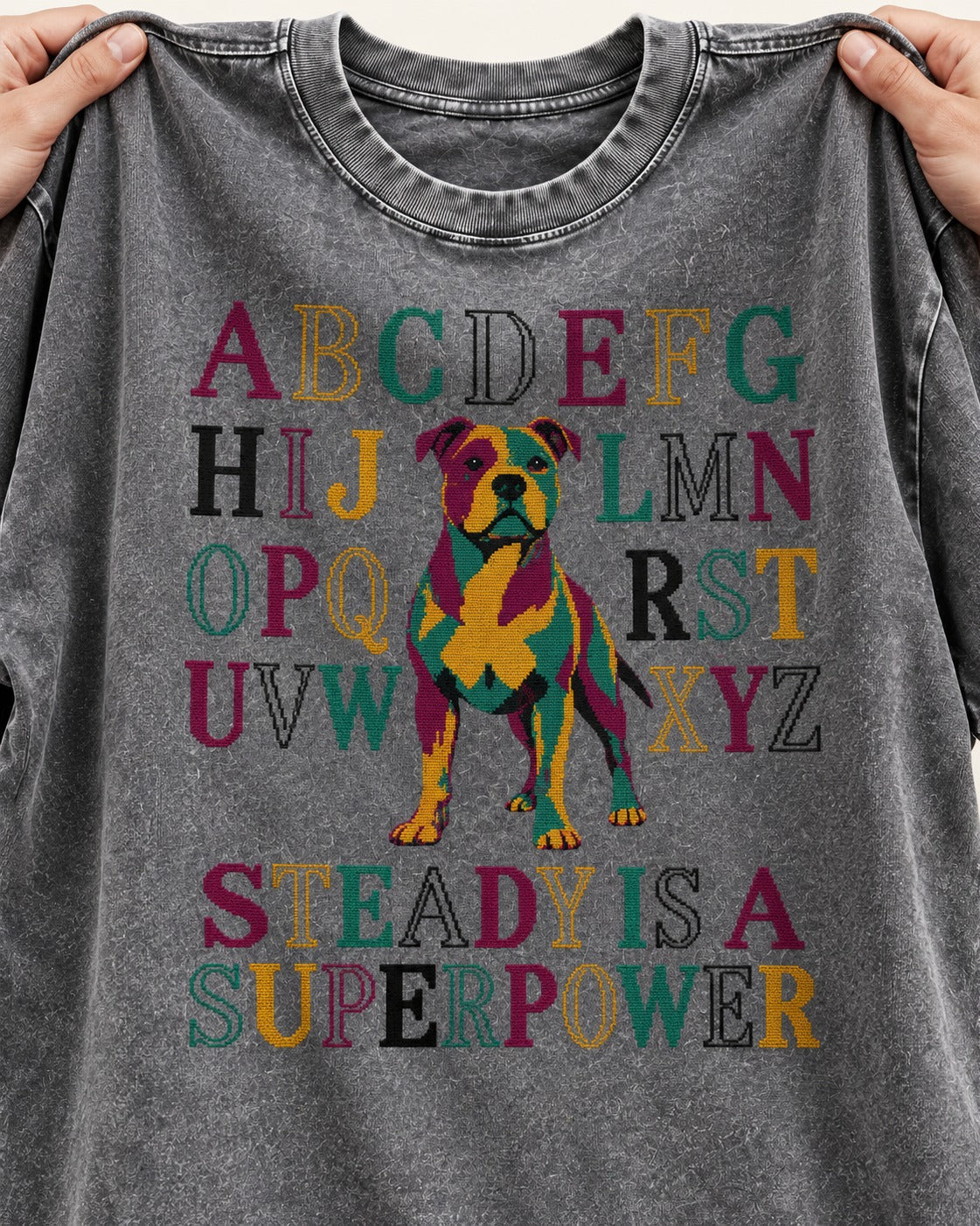 Pitbull Steady Is a Superpower Alphabet Graphic Washed Tee in Gray, close-up of the graphic
