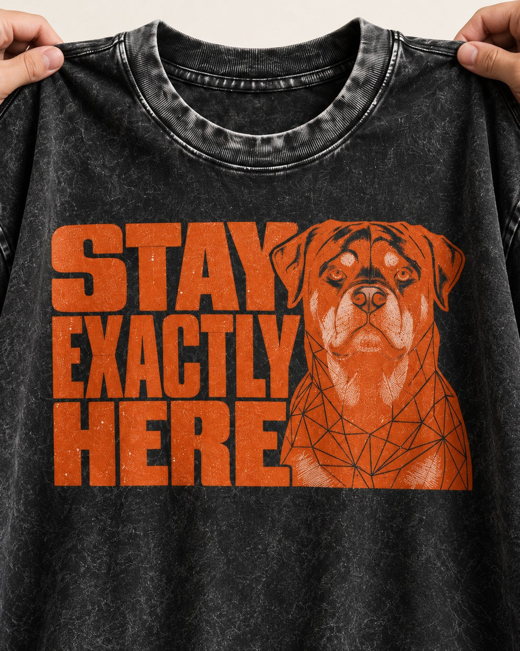 Rottweiler Stay Exactly Here Block Portrait Graphic Washed Tee in Black, close-up of the graphic