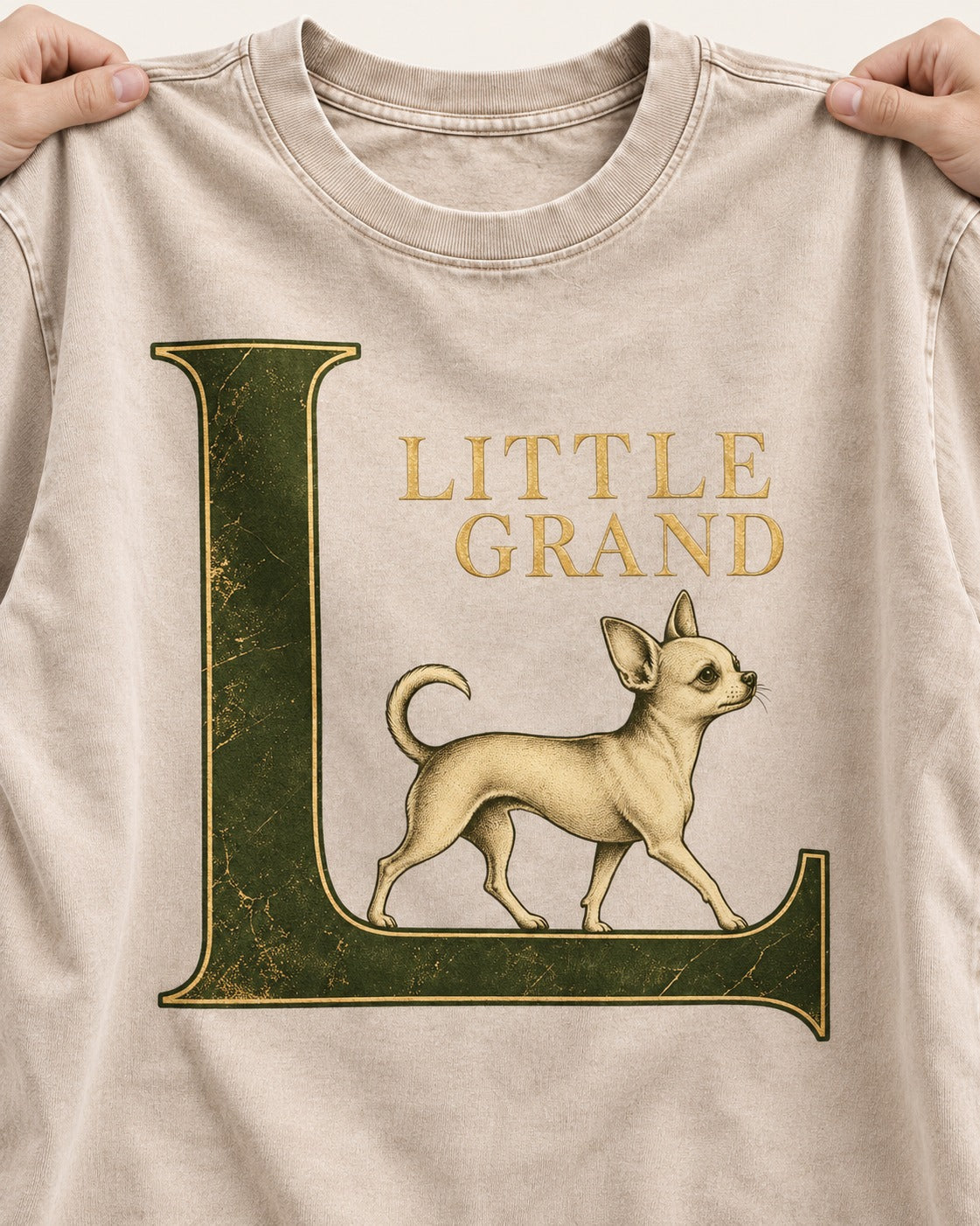 Little Grand Chihuahua Washed Tee in Apricot, close-up of the graphic