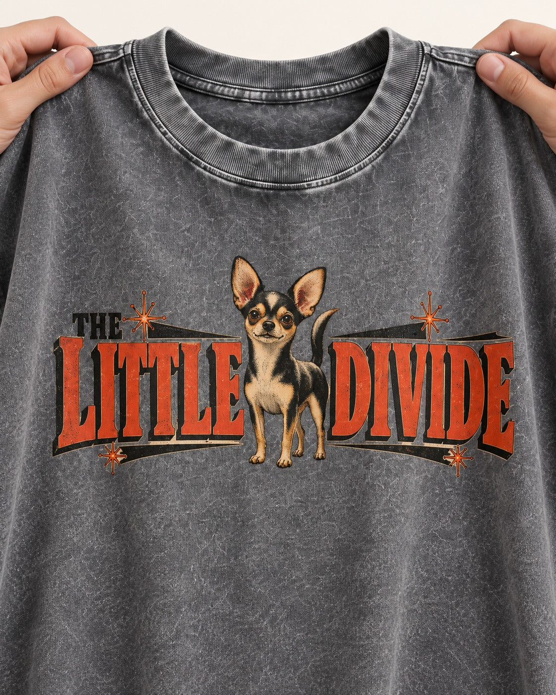 Chihuahua The Little Divide Retro Sign Graphic Washed Tee in Gray, close-up of the graphic