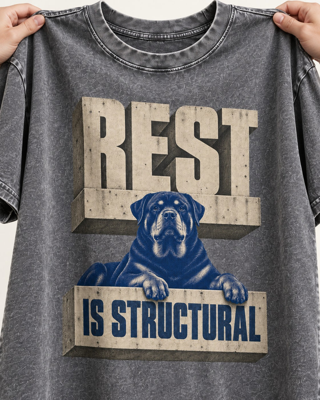 Rottweiler Rest Is Structural Architectural Type Graphic Washed Tee in Gray, close-up of the graphic