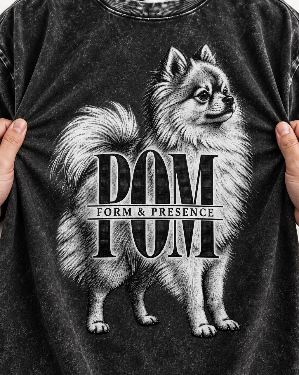 Pomeranian Form and Presence Monogram Graphic Washed Tee in Black, close-up of the graphic