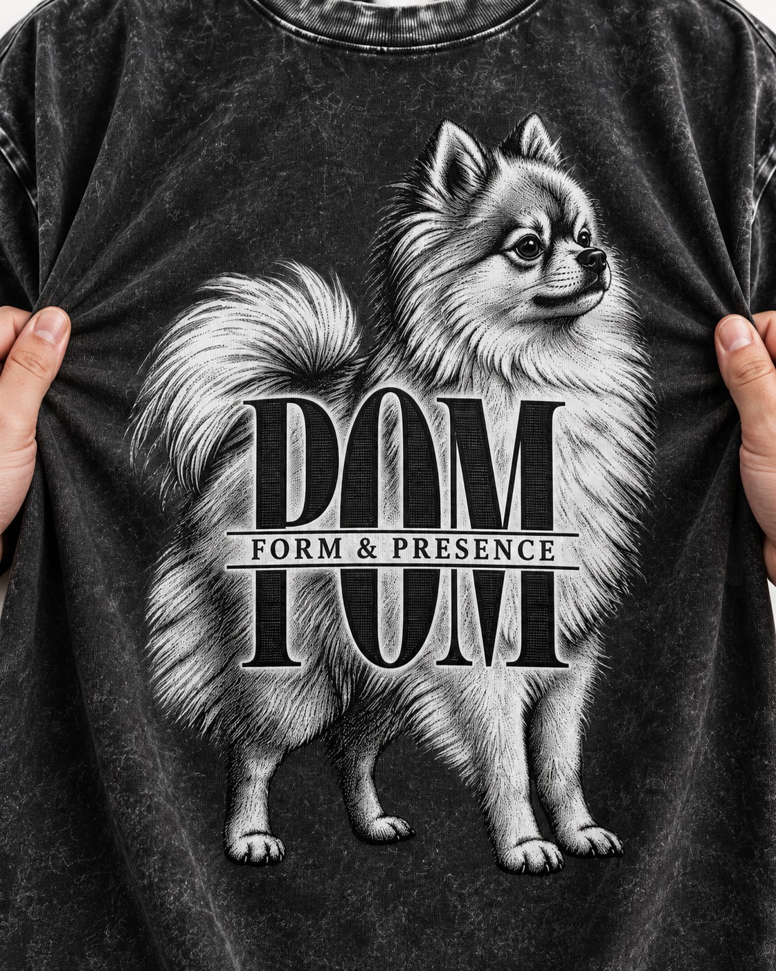 Pomeranian Form and Presence Monogram Graphic Washed Tee in Black, close-up of the graphic