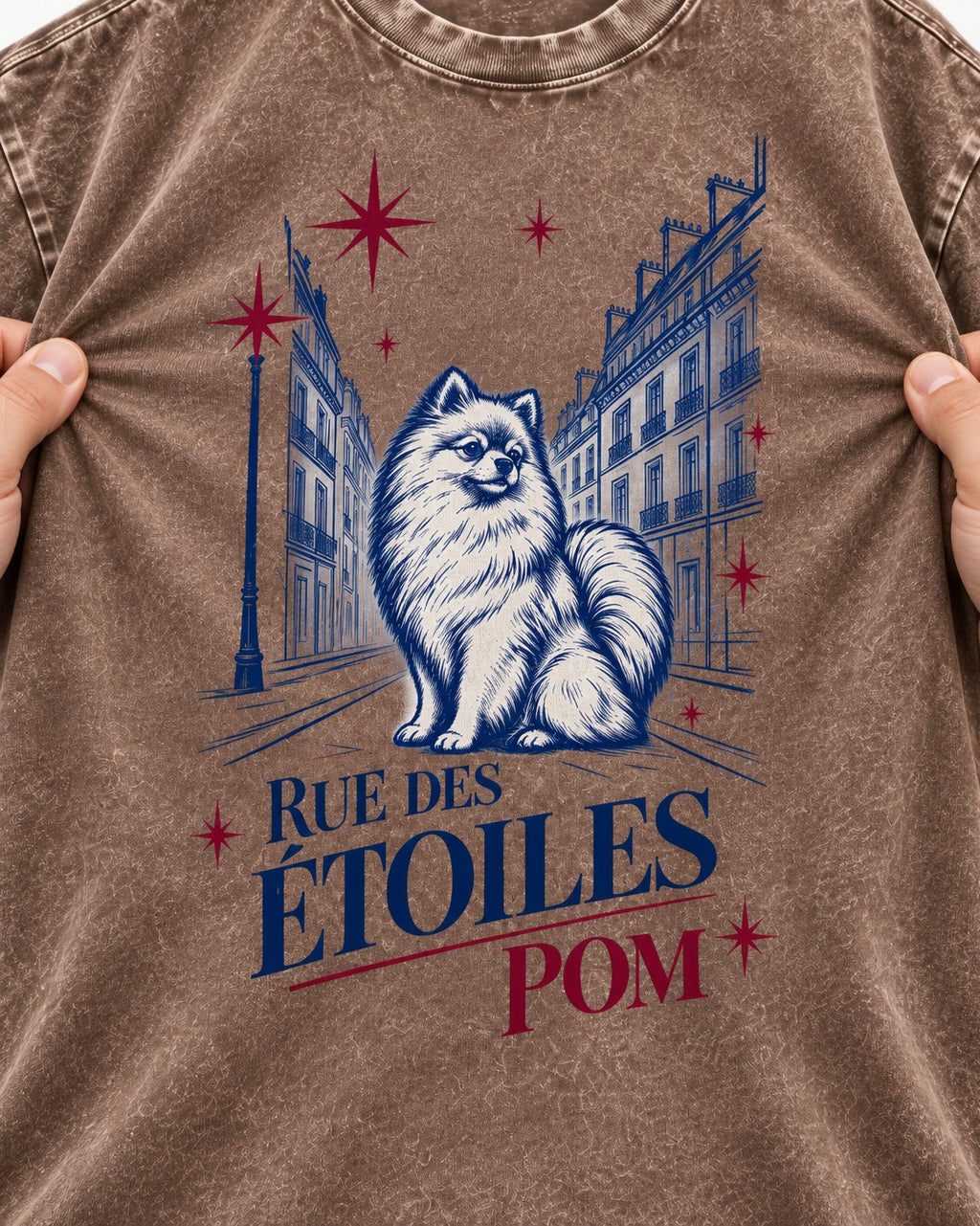 Pomeranian Among the Stars Washed Tee in Coffee, close-up of the graphic