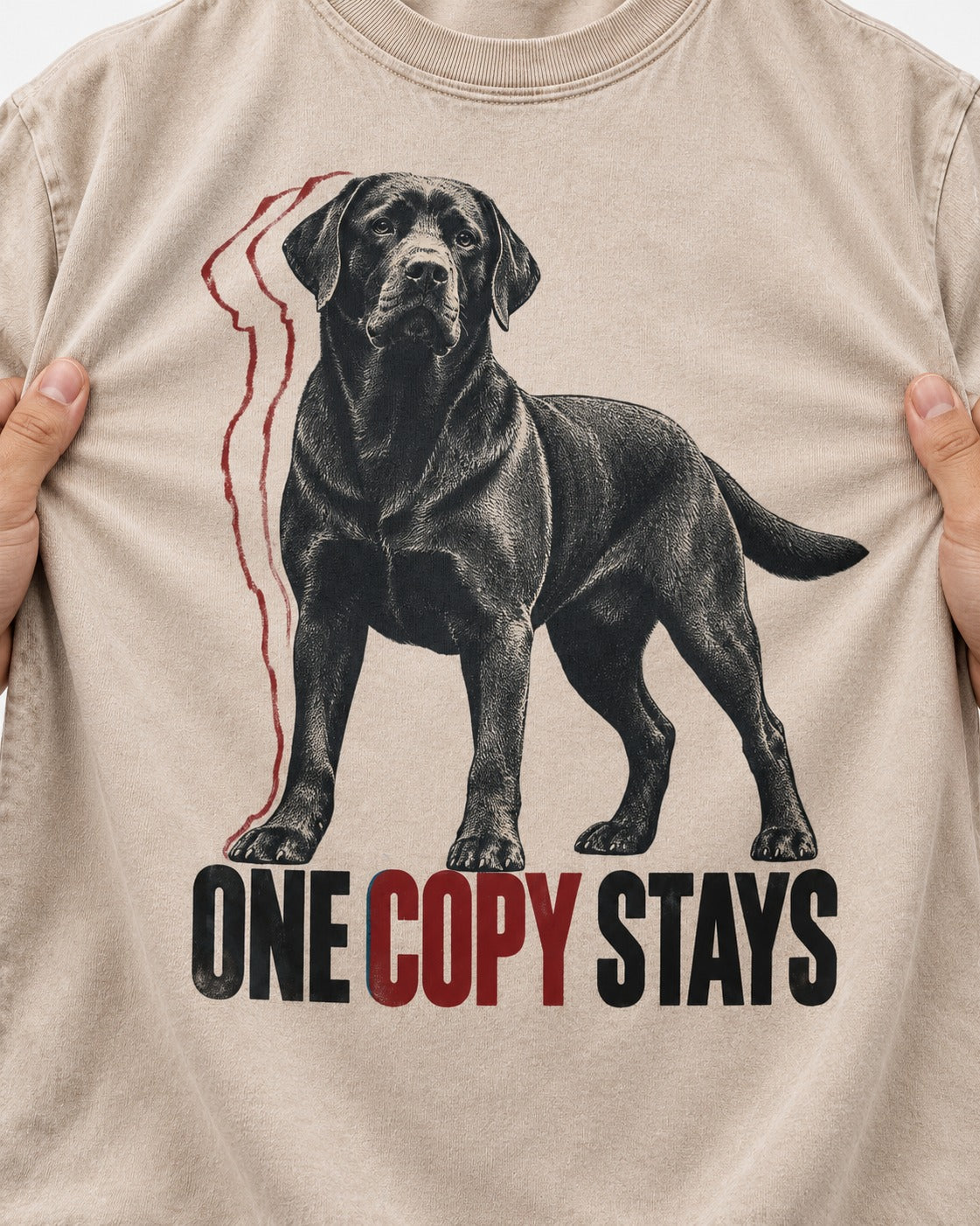 One Copy Stays Labrador Retriever Washed Tee in Apricot, close-up of the graphic