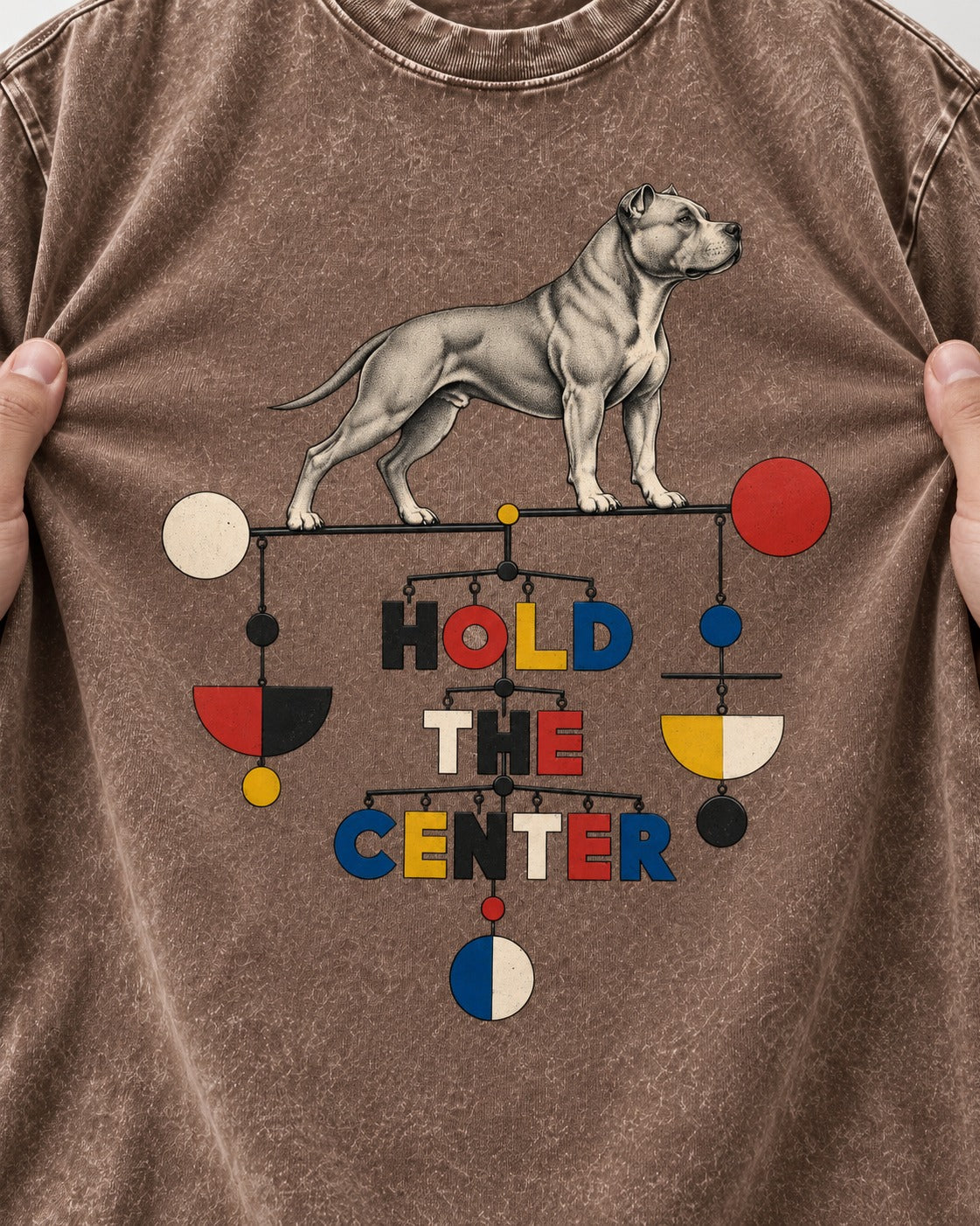 Pitbull Hold the Center Balance Mobile Graphic Washed Tee in Coffee, close-up of the graphic