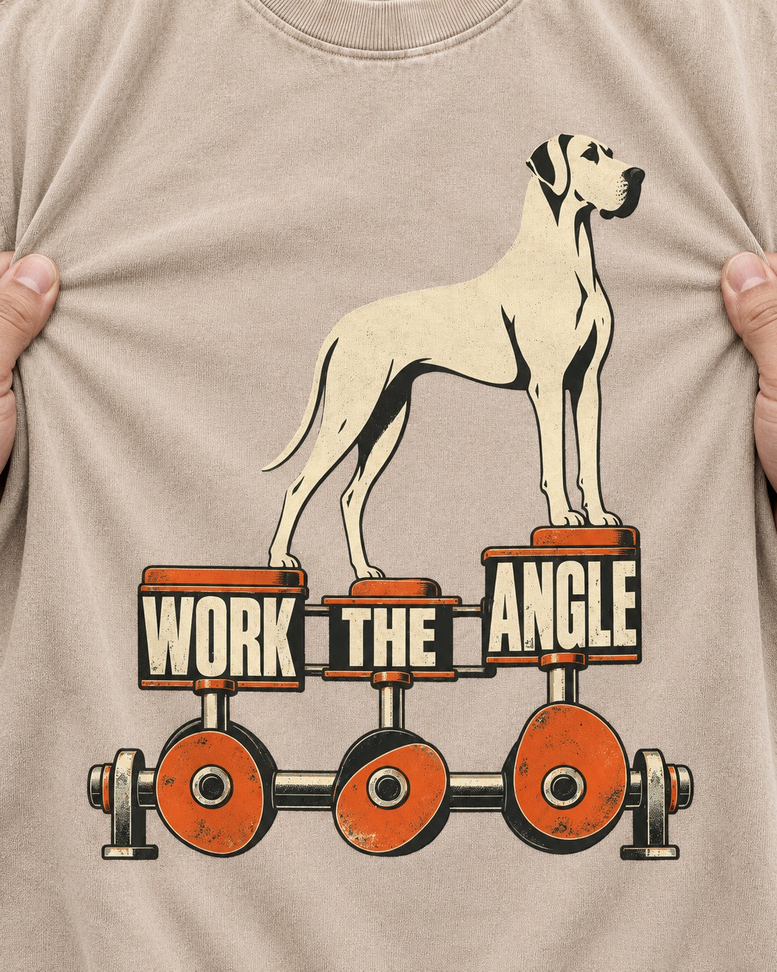 Great Dane Work the Angle Washed Tee in Apricot, close-up of the graphic