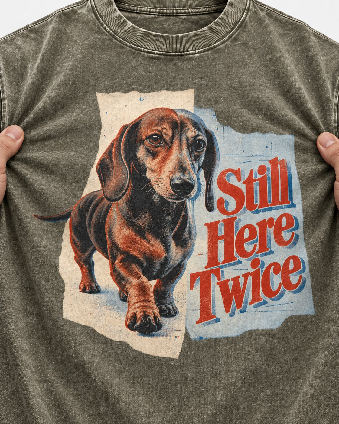 Dachshund Still Here Twice Torn Paper Graphic Washed Tee in Army Green, close-up of the graphic