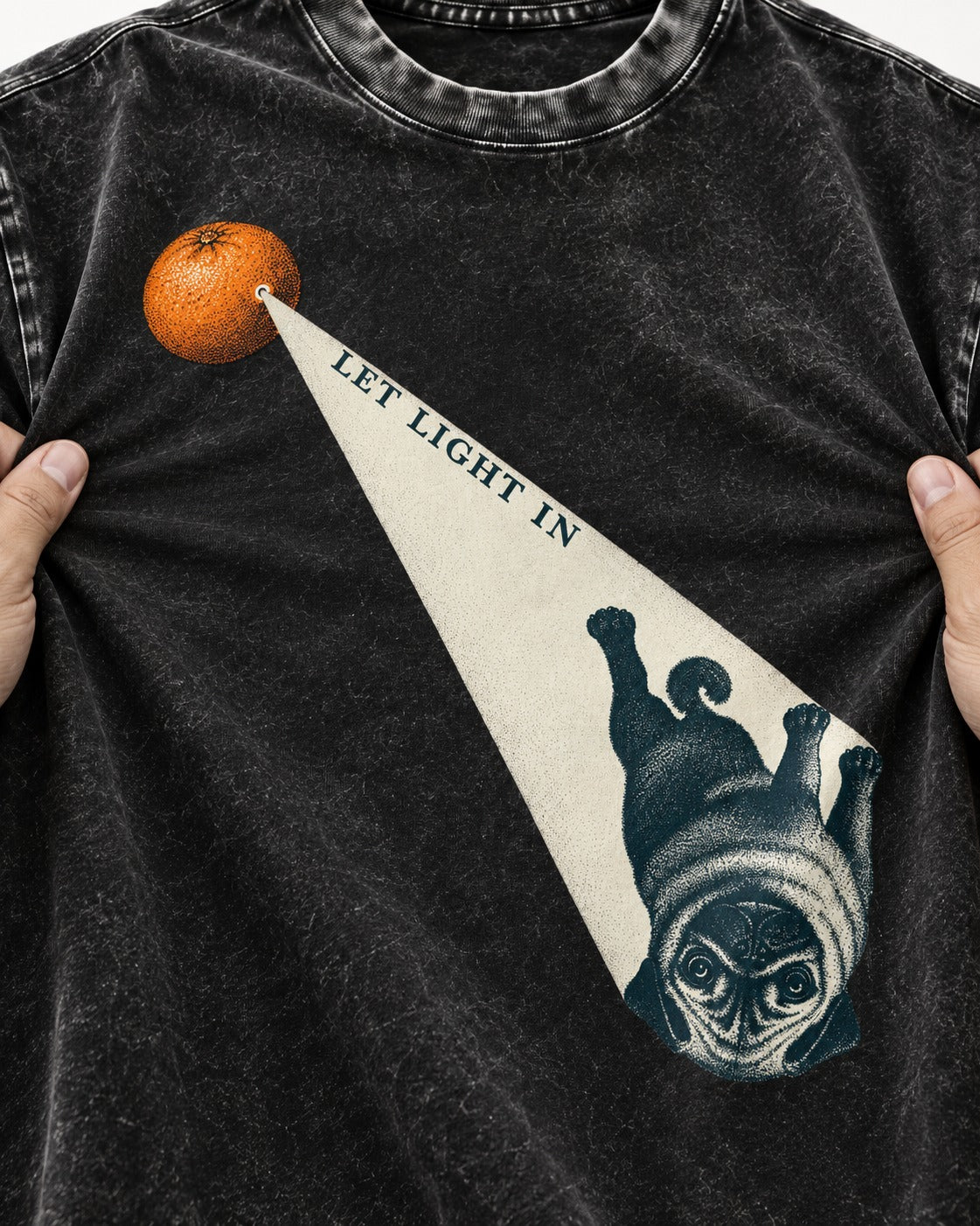 Pug Let Light In Camera Obscura Graphic Washed Tee in Black, close-up of the graphic