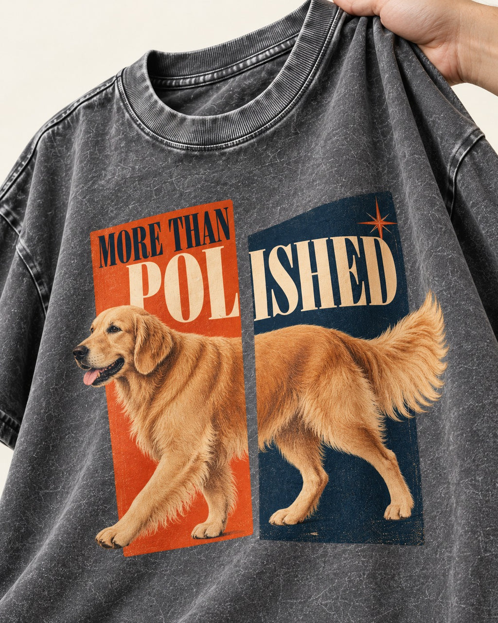 Golden Retriever More Than Polished Split Panel Graphic Washed Tee in Gray, close-up of the graphic