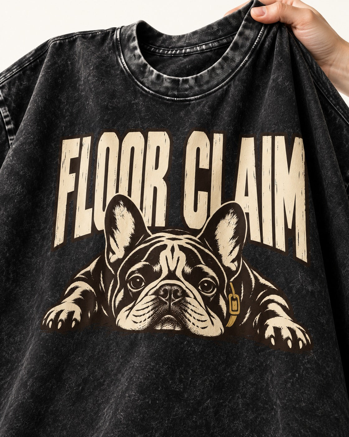 Frenchie Floor Claim Resting Graphic Washed Tee in Black, close-up of the graphic