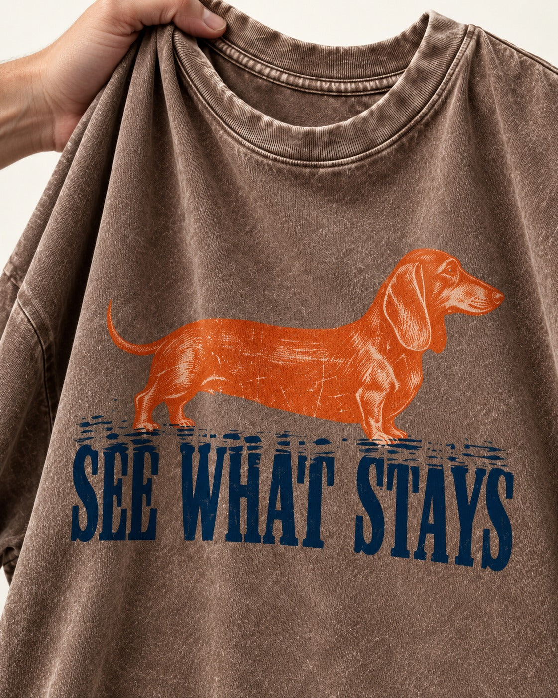 Dachshund See What Stays Washed Tee in Coffee, close-up of the graphic