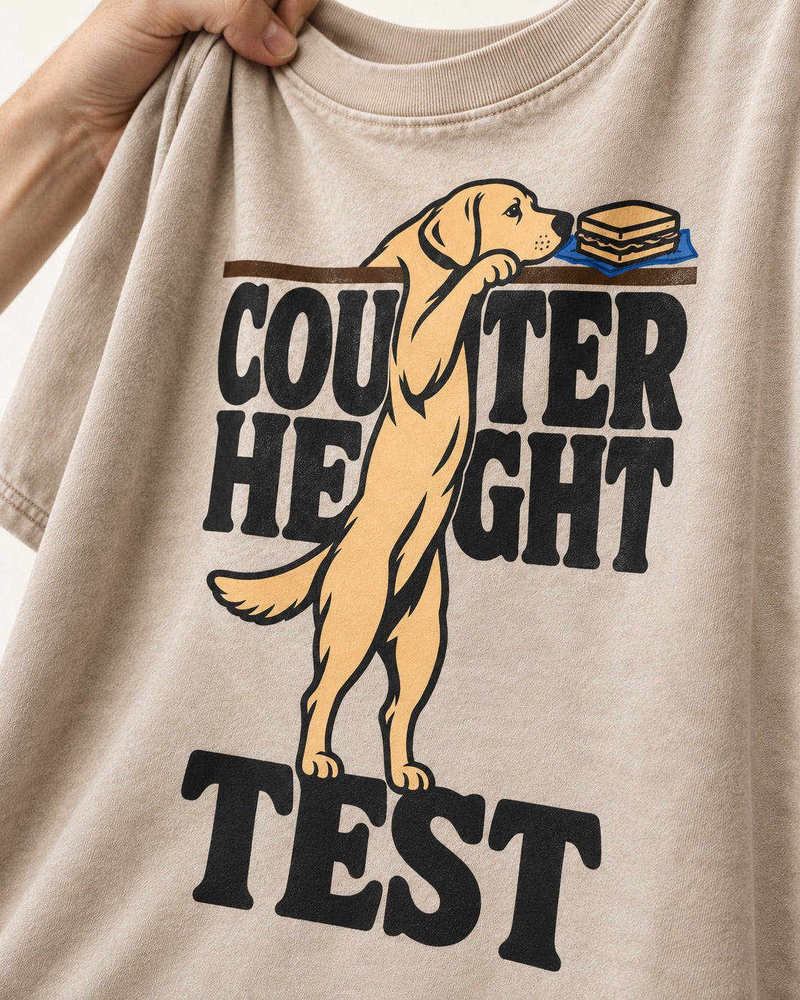 Labrador Retriever Counter Height Test Washed Tee in Apricot, close-up of the graphic