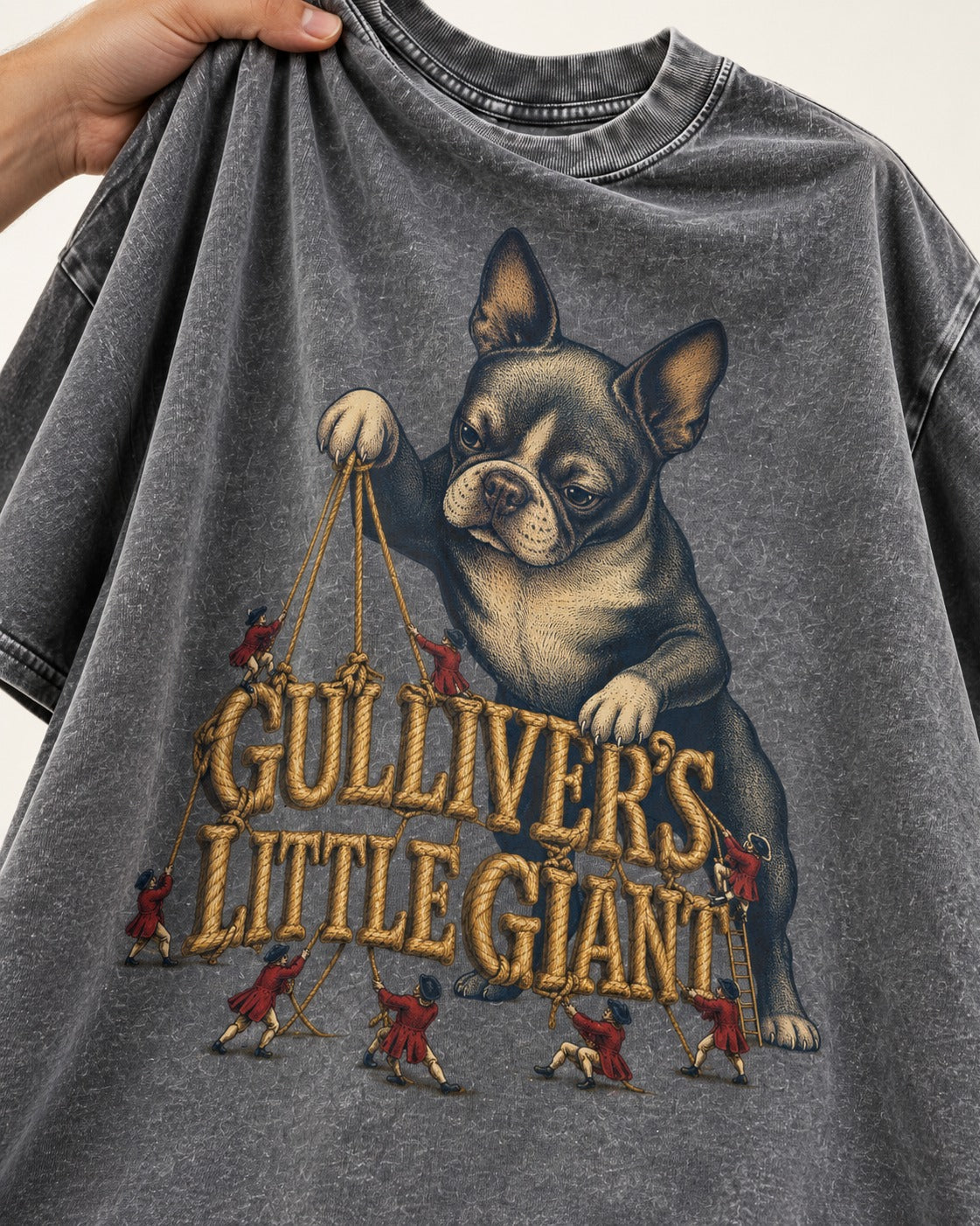 Boston Terrier Gulliver’s Little Giant Washed Tee in Gray, close-up of the graphic