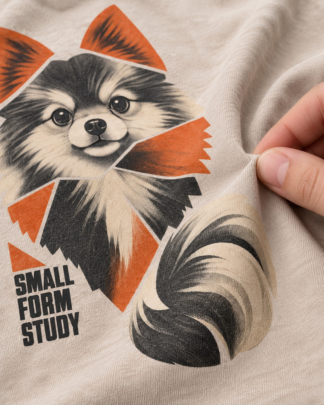Pomeranian Small Form Study Washed Tee in Apricot, close-up of the graphic