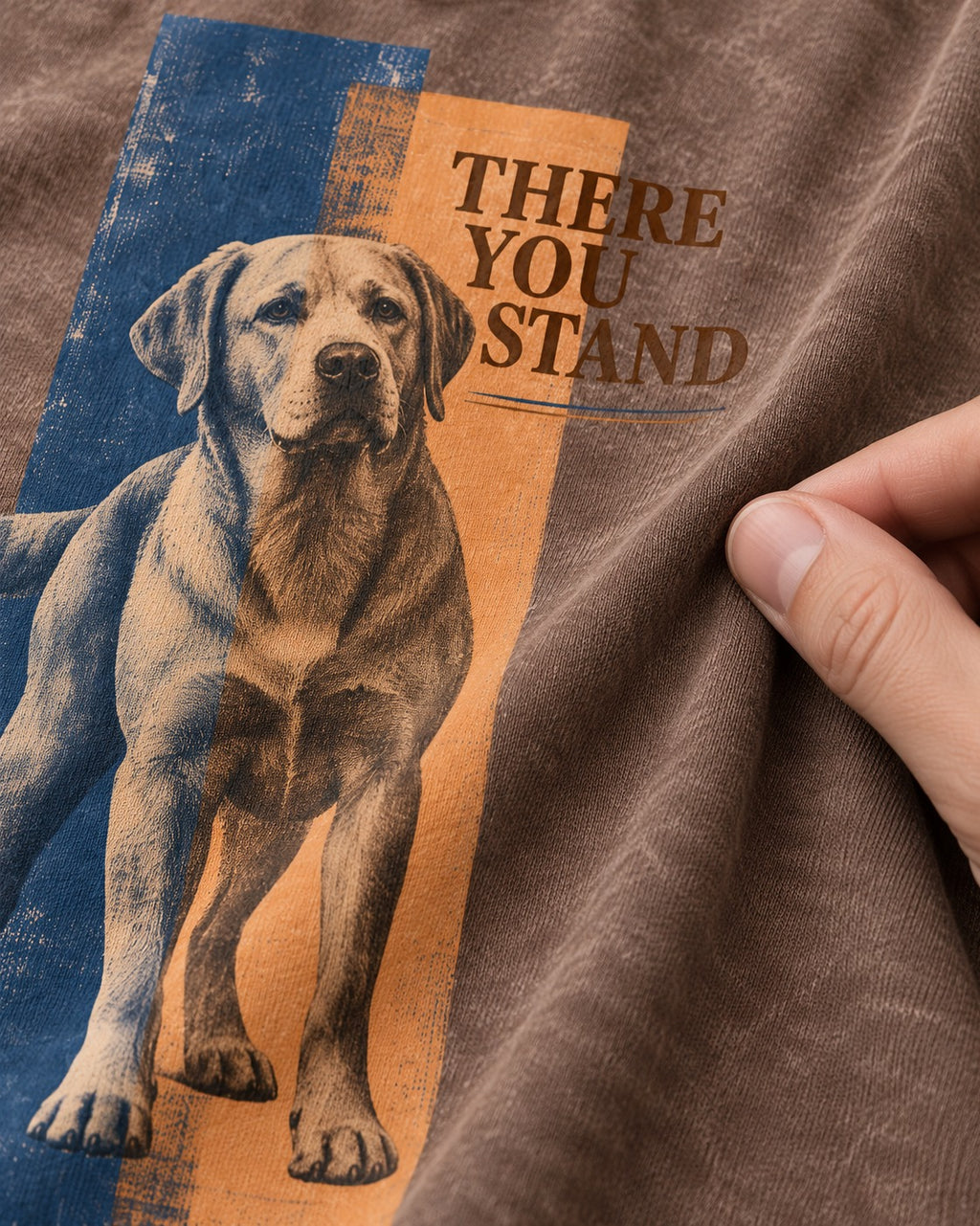 There You Stand Labrador Retriever Washed Tee in Coffee, close-up of the graphic