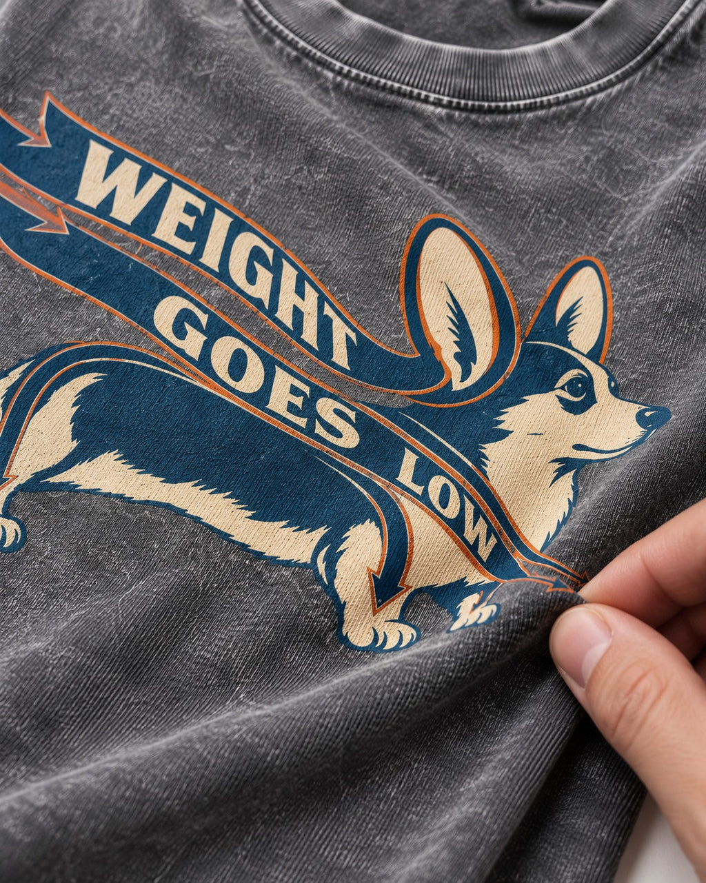 Corgi Weight Goes Low Ribbon Arrow Graphic Washed Tee in Gray, close-up of the graphic