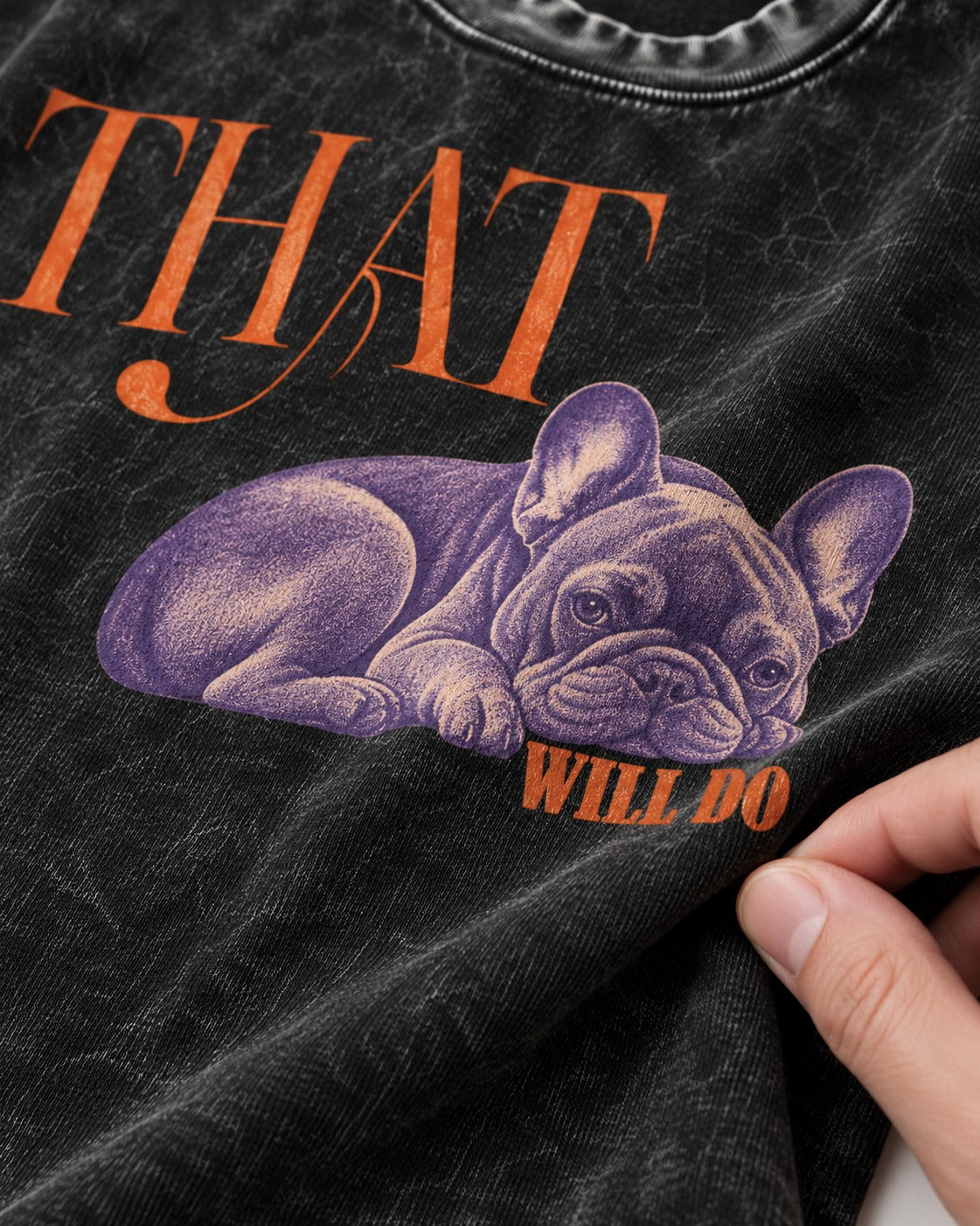 Frenchie That Will Do Resting Graphic Washed Tee in Black, close-up of the graphic