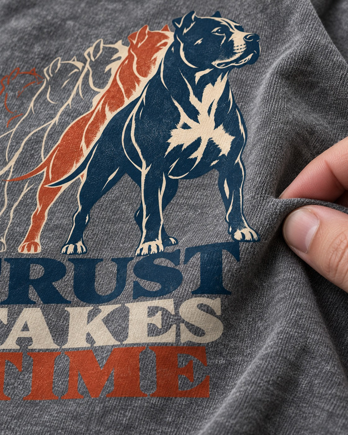 Pitbull Trust Takes Time Progression Graphic Washed Tee in Gray, close-up of the graphic