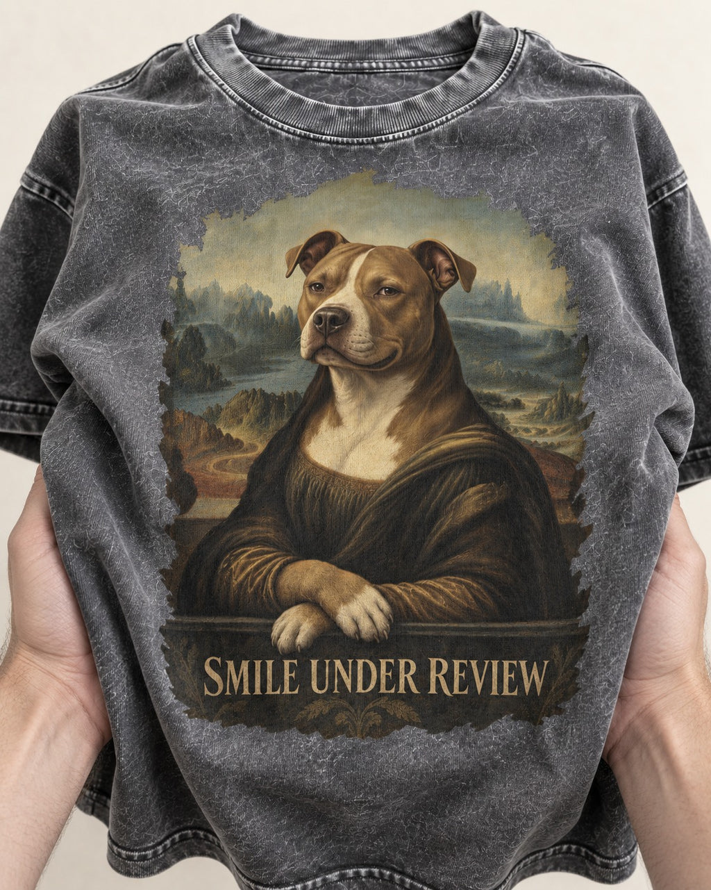 Pitbull Smile Under Review Renaissance Portrait Graphic Washed Tee in Gray, close-up of the graphic