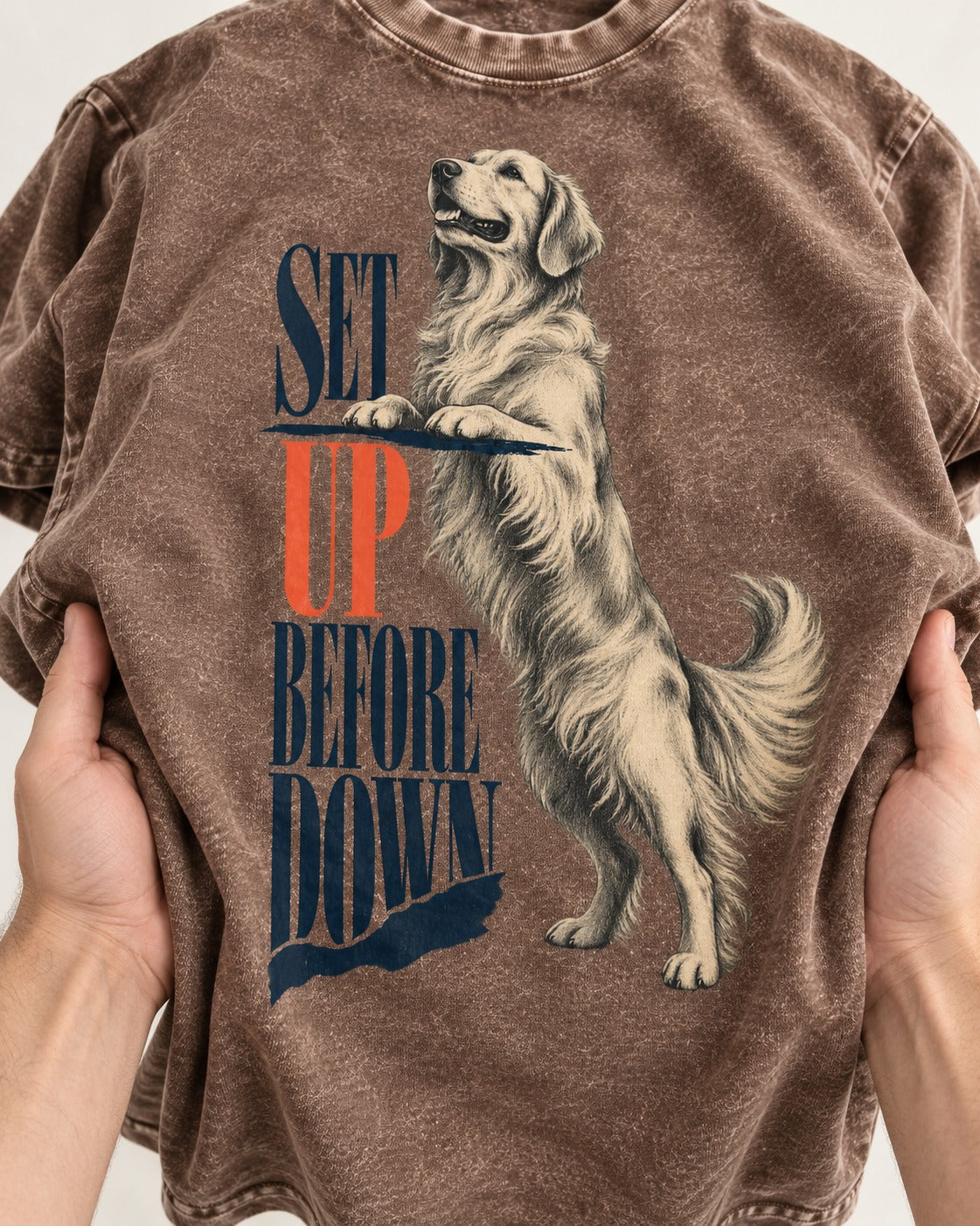 Golden Retriever Set Up Before Down Washed Tee in Coffee, close-up of the graphic