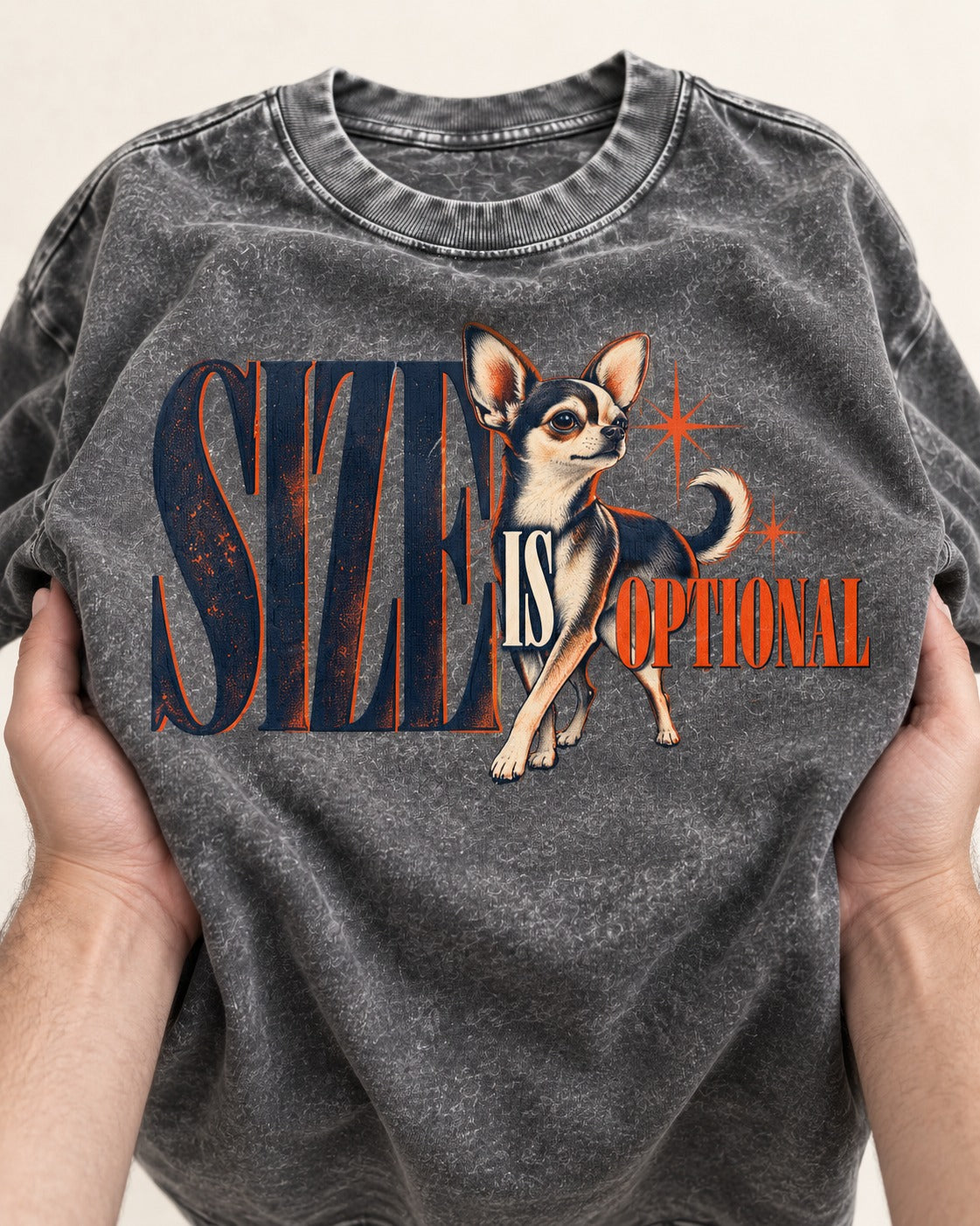 Chihuahua Size Is Optional Starburst Graphic Washed Tee in Gray, close-up of the graphic