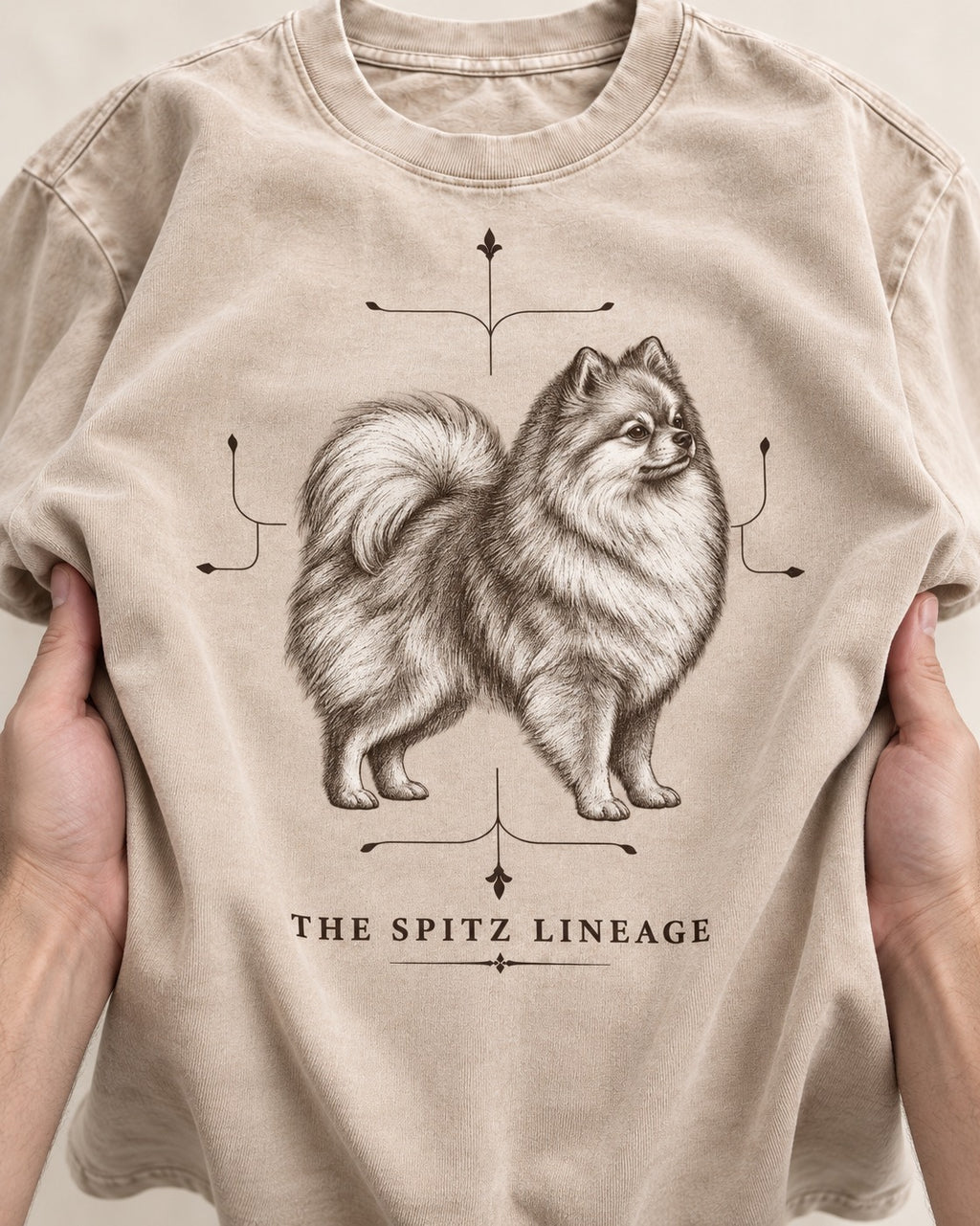 Pomeranian Spitz Lineage Washed Tee in Apricot, close-up of the graphic