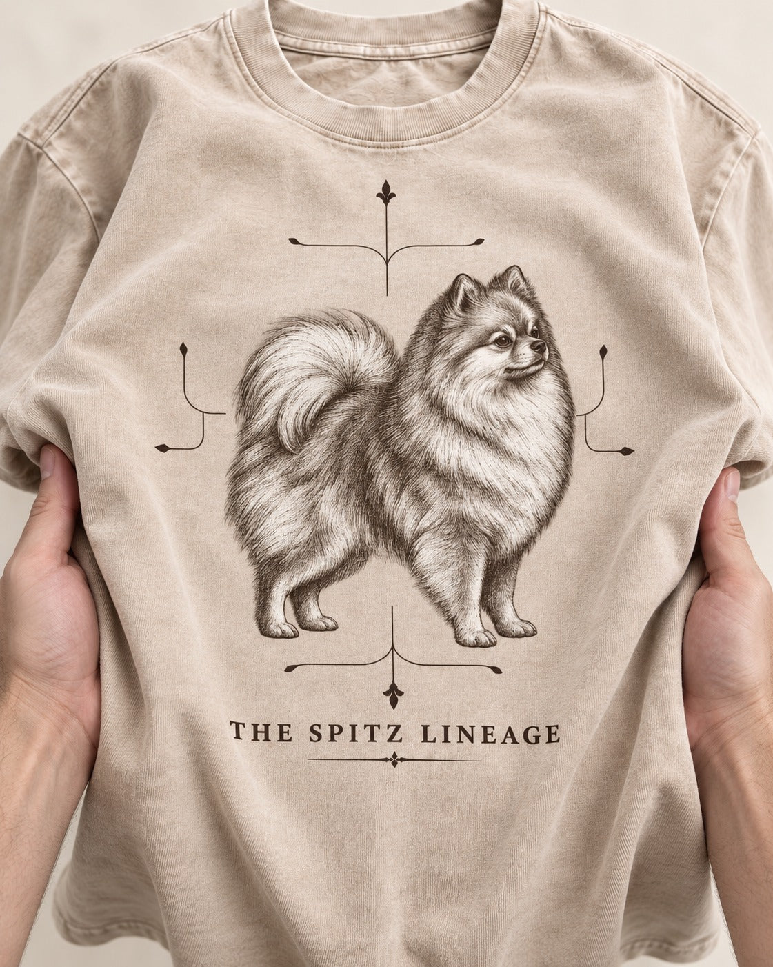 Pomeranian Spitz Lineage Washed Tee in Apricot, close-up of the graphic