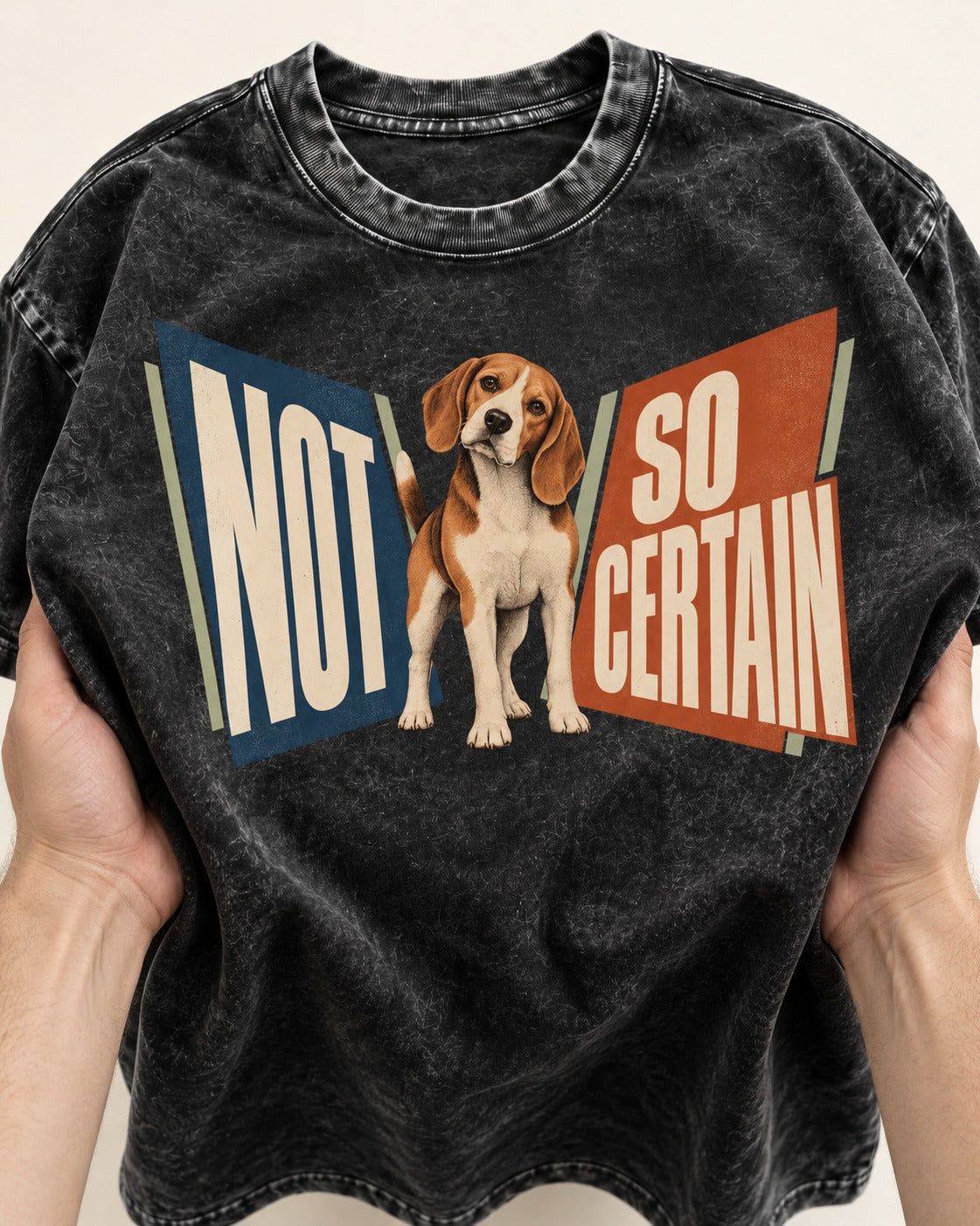 Beagle Not So Certain Retro Panel Graphic Washed Tee in Black, close-up of the graphic