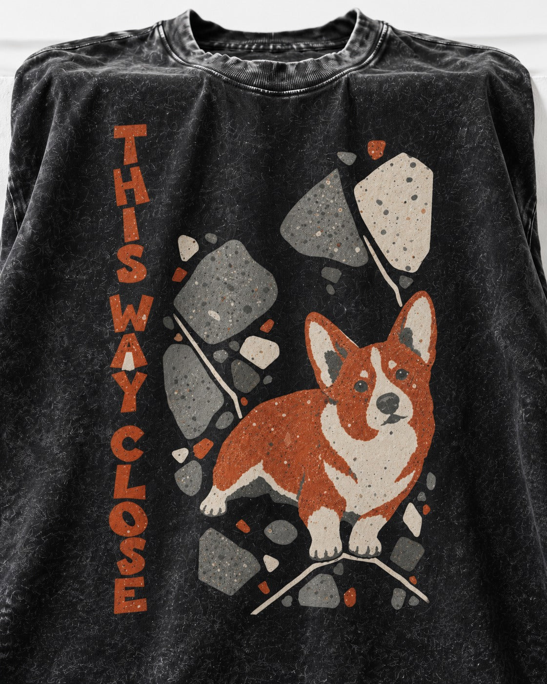 Corgi This Way Close Rubble Graphic Washed Tee in Black, close-up of the graphic