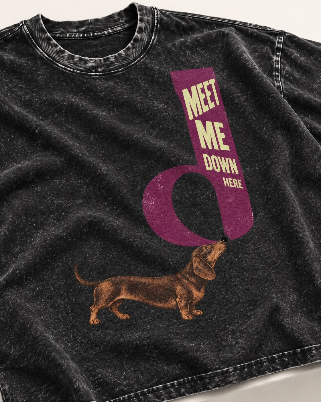 Dachshund Meet Me Down Here Letterform Loop Graphic Washed Tee in Black, close-up of the graphic