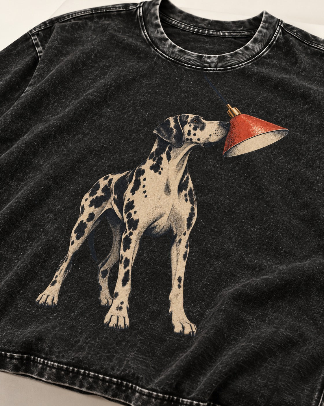 Great Dane Inspecting Hanging Lamp Graphic Washed Tee in Black, close-up of the graphic