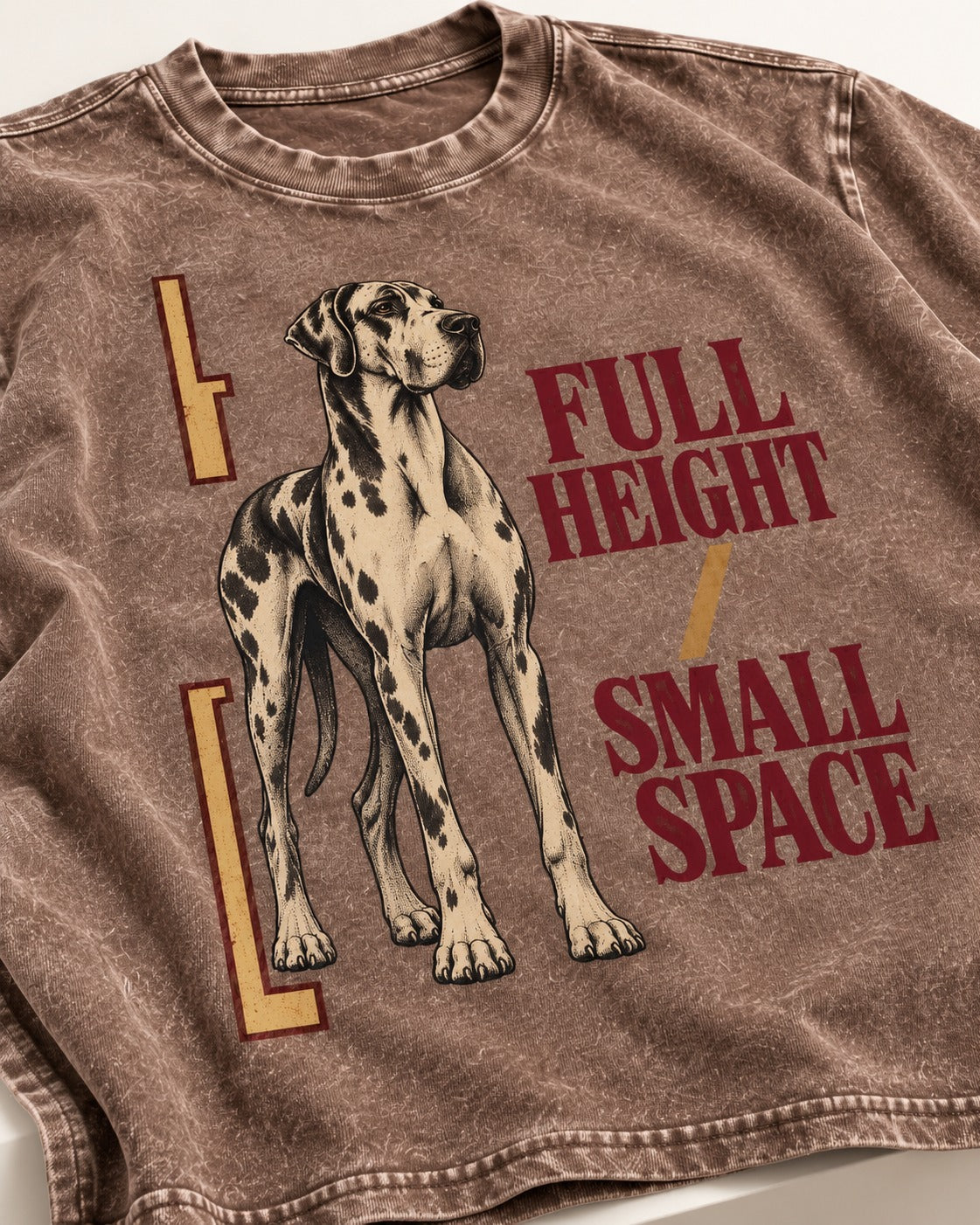 Great Dane Full Height Small Space Washed Tee in Coffee, close-up of the graphic