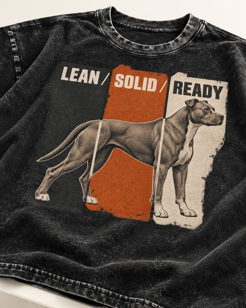 Pitbull Lean Solid Ready Triptych Graphic Washed Tee in Black, close-up of the graphic