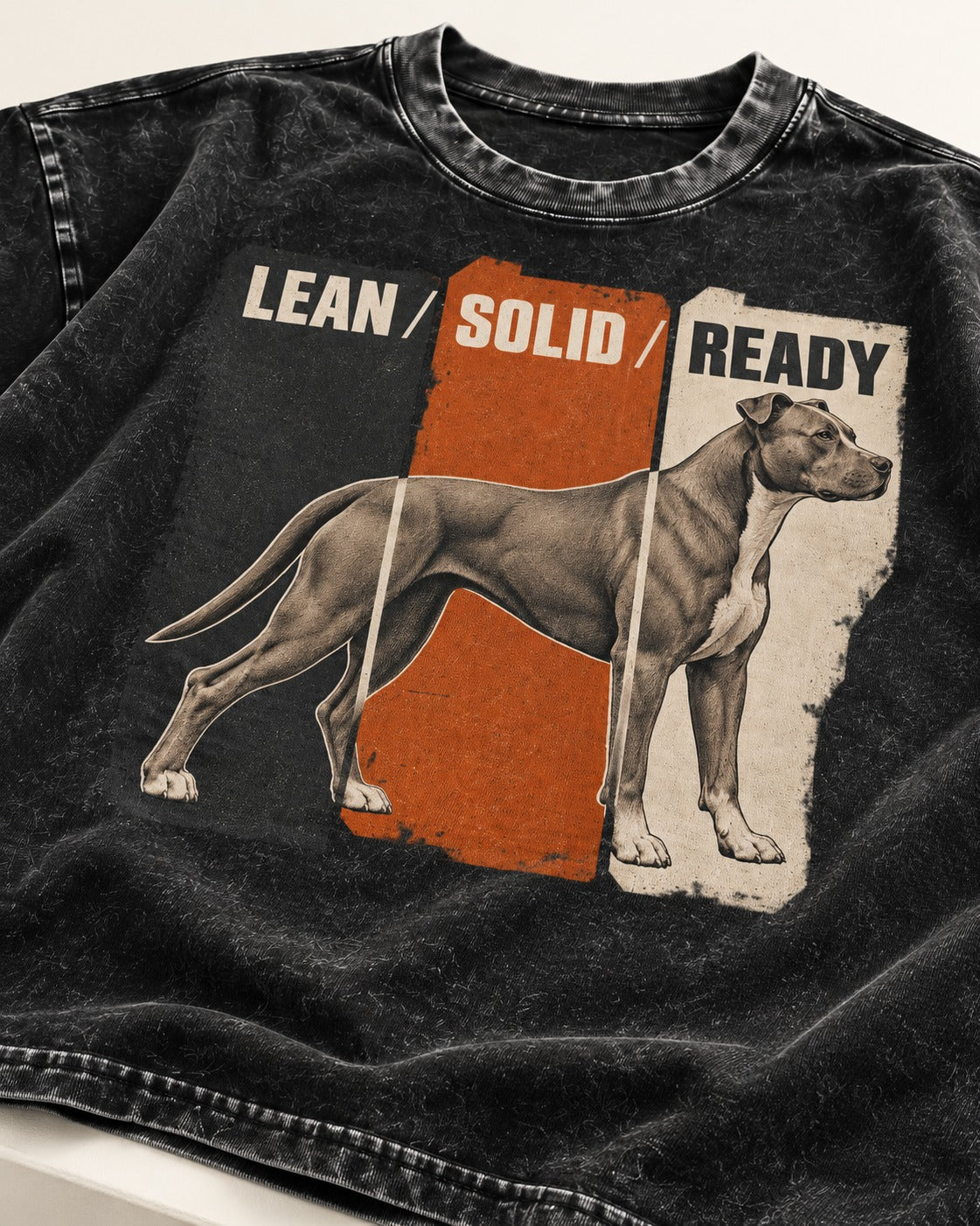 Pitbull Lean Solid Ready Triptych Graphic Washed Tee in Black, close-up of the graphic