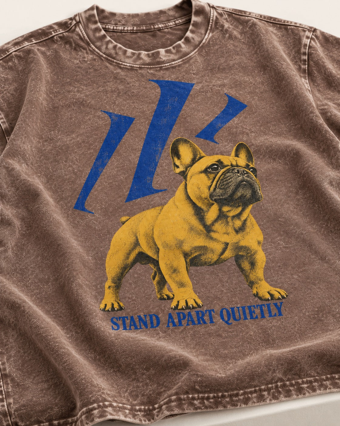 Frenchie Stand Apart Quietly Washed Tee in Coffee, close-up of the graphic