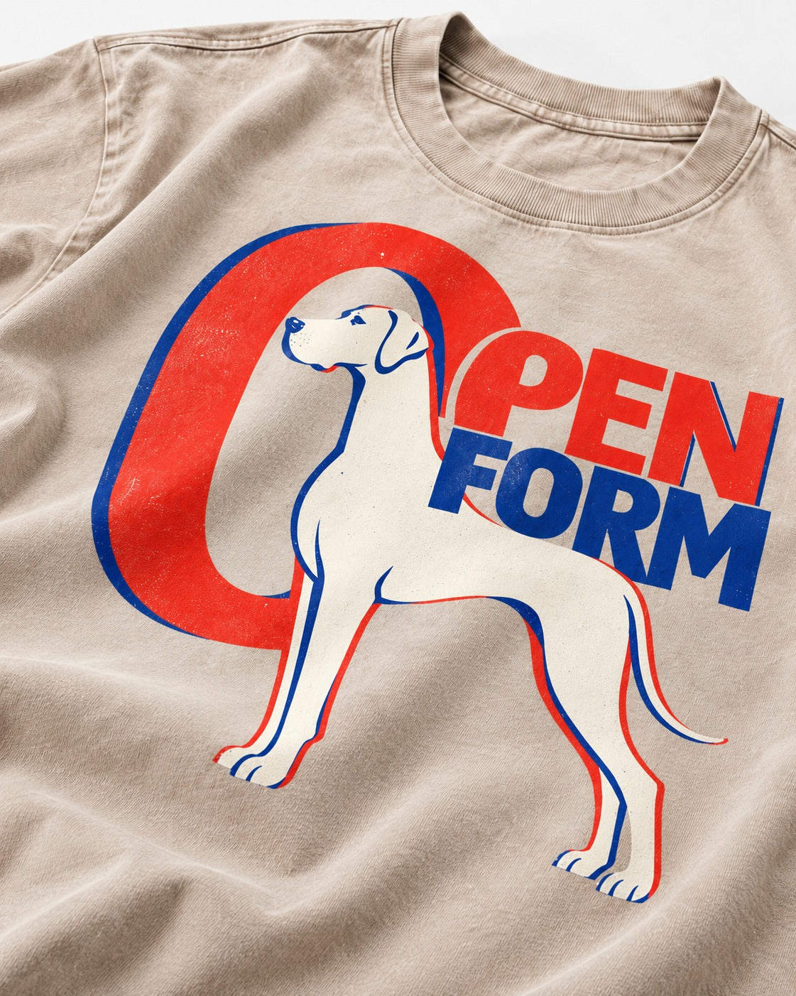 Open Form Great Dane Washed Tee in Apricot, close-up of the graphic