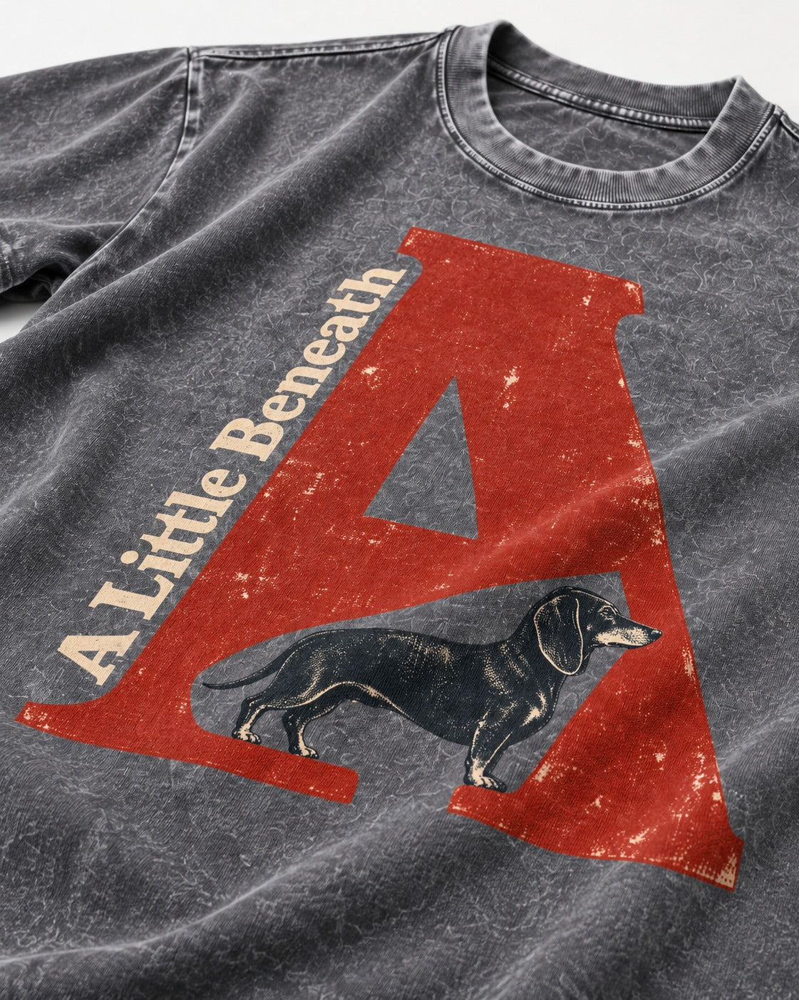 Dachshund A Little Beneath Monumental Letter Graphic Washed Tee in Gray, close-up of the graphic
