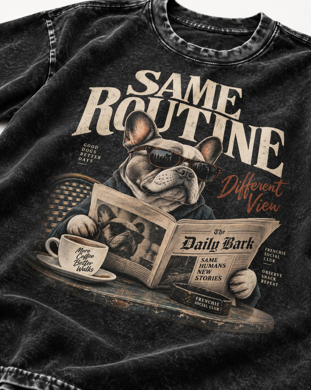 Frenchie Same Routine Different View Graphic Washed Tee in Black, close-up of the graphic