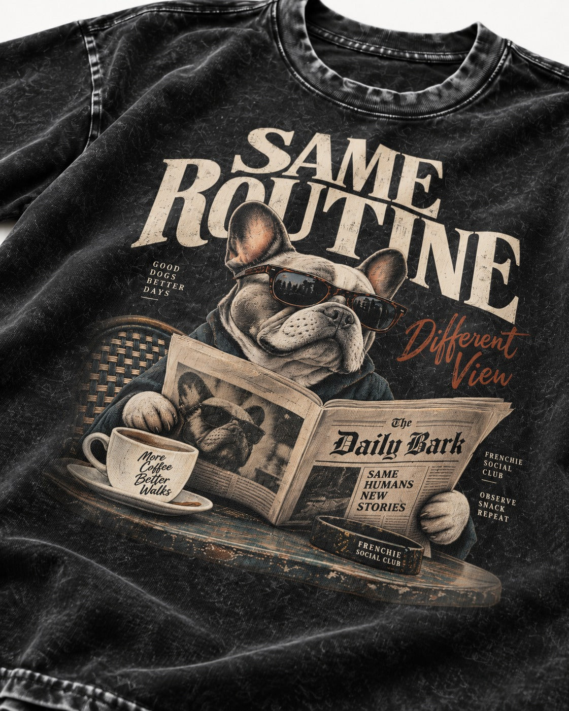 Frenchie Same Routine Different View Graphic Washed Tee in Black, close-up of the graphic