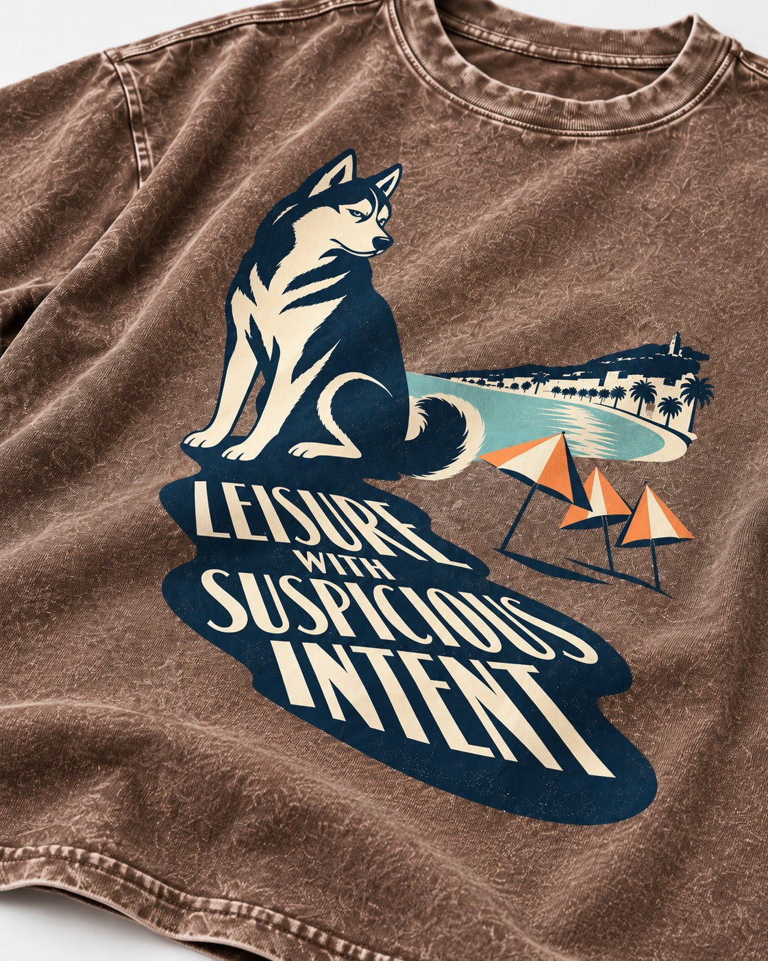Husky Leisure with Suspicious Intent Washed Tee in Coffee, close-up of the graphic