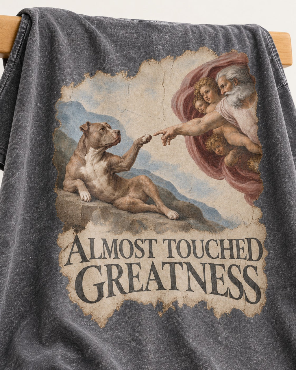 Pitbull Almost Touched Greatness Creation Parody Graphic Washed Tee in Gray, close-up of the graphic
