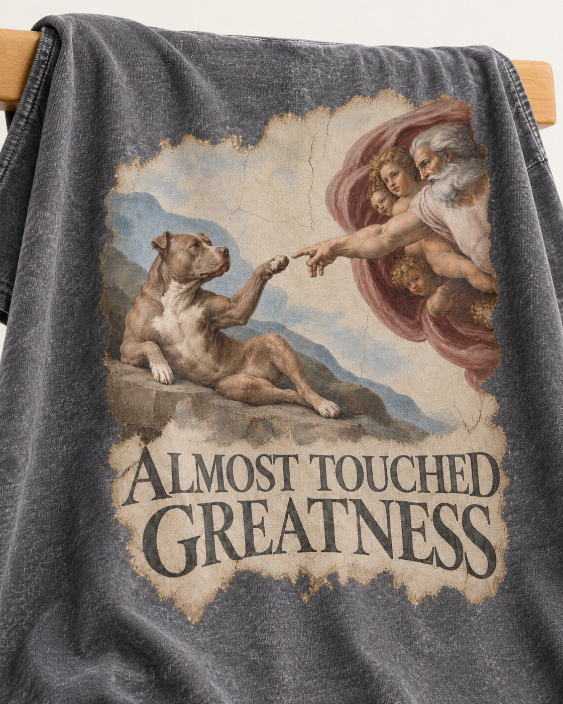 Pitbull Almost Touched Greatness Creation Parody Graphic Washed Tee in Gray, close-up of the graphic