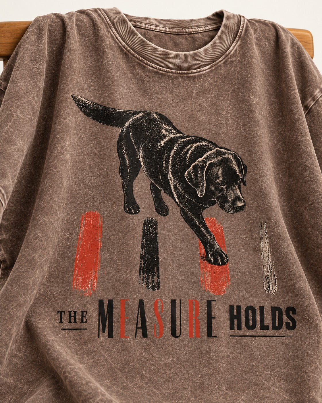 Labrador Retriever The Measure Holds Washed Tee in Coffee, close-up of the graphic