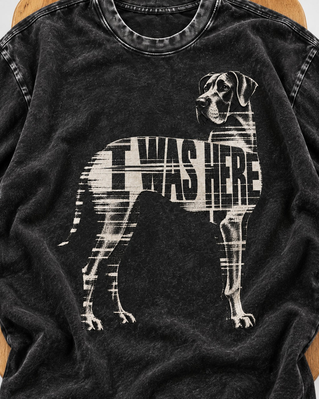 Great Dane I Was Here Plaid Silhouette Graphic Washed Tee in Black, close-up of the graphic