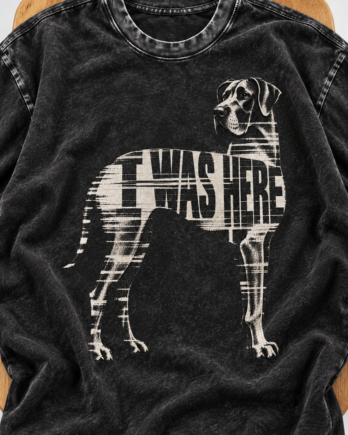 Great Dane I Was Here Plaid Silhouette Graphic Washed Tee in Black, close-up of the graphic