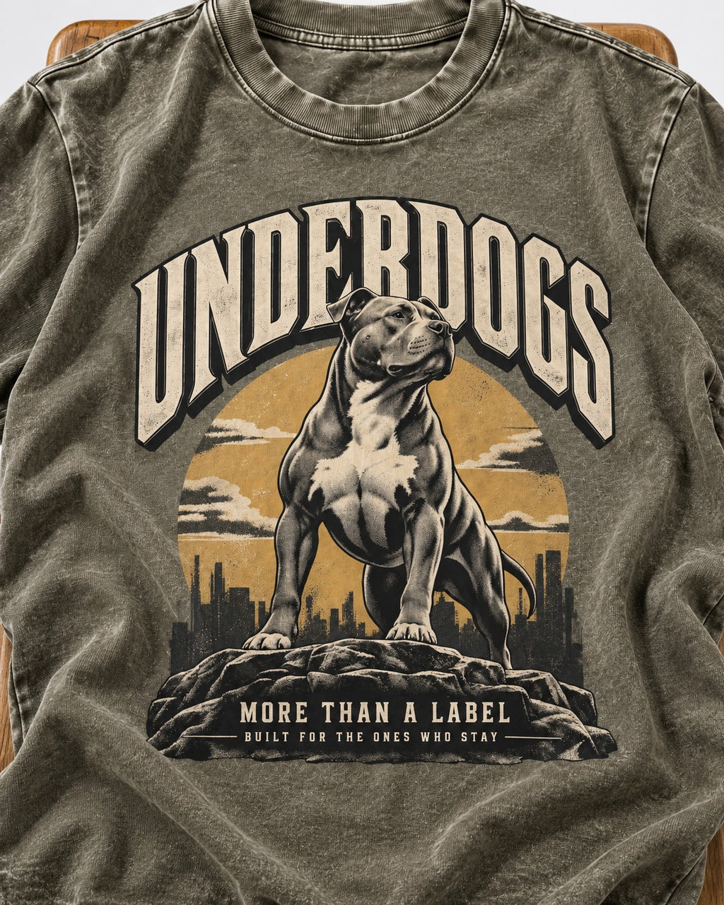 Pitbull Underdogs City Monument Graphic Washed Tee in Army Green, close-up of the graphic