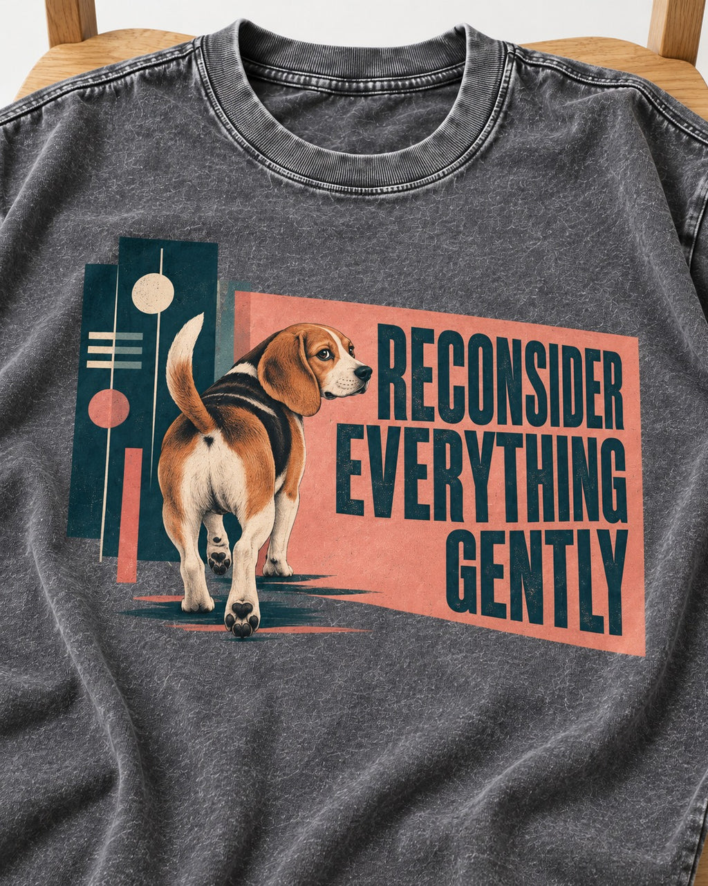 Beagle Reconsider Everything Gently Retro Graphic Washed Tee in Gray, close-up of the graphic